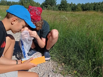 Zajęcia edukacyjne w ramach Wielkiego Dnia Pszczół - Plichtów 2022 r., 